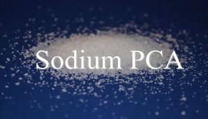 Sodium PCA - thành phần thường thấy trong các loại mỹ phẩm là gì?