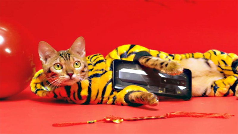 Nubia Red Magic 7 sẽ có vi xử lý độc lập hỗ trợ cho việc chơi game