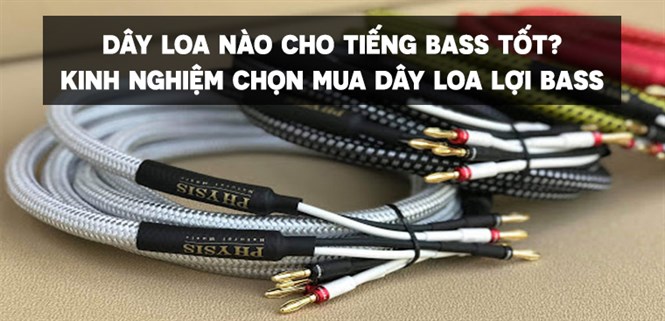 Dây loa nào cho tiếng Bass tốt? Kinh nghiệm chọn mua dây loa cho tiếng Bass chất lượng