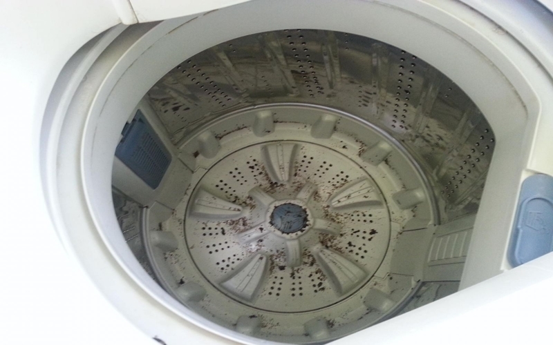 lồng máy giặt chứa nhiều vi khuẩn và nấm mốc