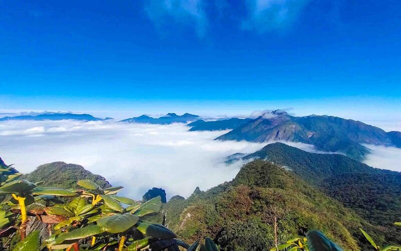 9 ngọn núi trekking lý tưởng nhất ở Việt Nam