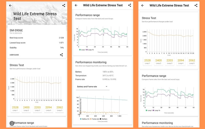 Điểm bài test Wild Life Extreme Stress Test của Galaxy S22+