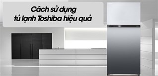 Cách sử dụng tủ lạnh Toshiba hiệu quả, an toàn, tiết kiệm điện