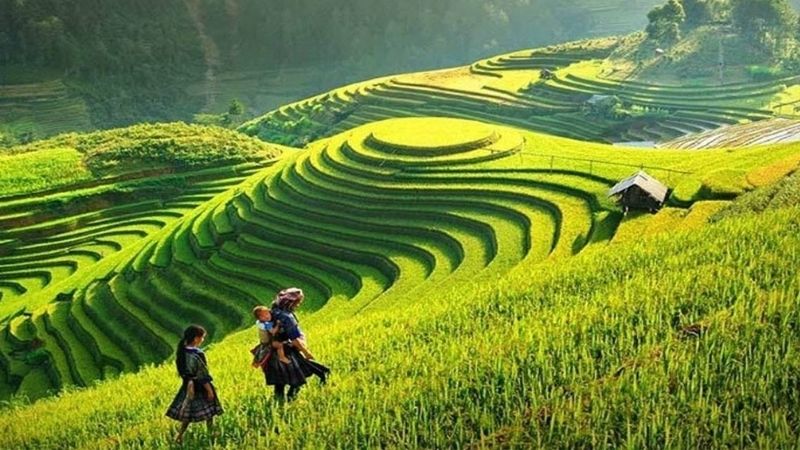 Di chuyển tới thung lũng Mường Hoa từ Sapa.