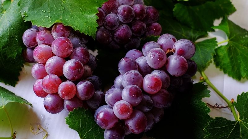 Grapes are difficult to clean because they grow in clusters