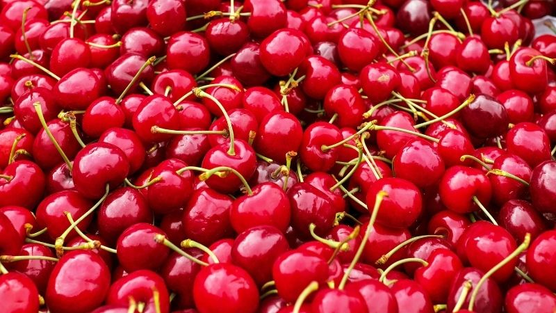 Cherries' attractive color attracts small insects