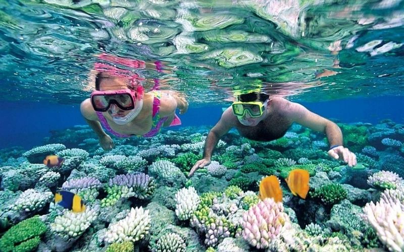 Hoạt động lặn biển và vô số những hàng rặng san hô tuyệt mỹ tại Đảo Hòn Mun