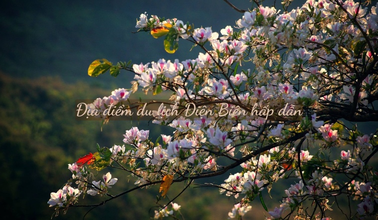 Du lịch Điện Biên: Cẩm nang du lịch và 16 địa điểm đẹp, hấp dẫn