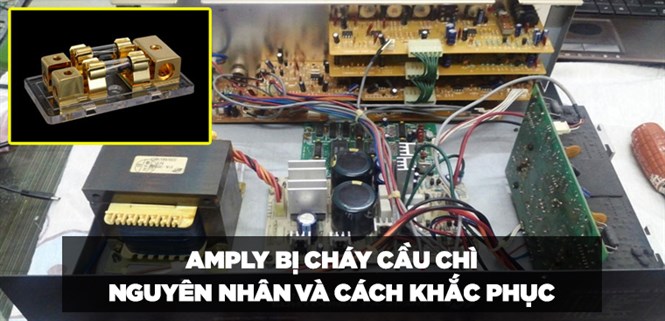 Amply bị cháy cầu chì - Nguyên nhân và cách khắc phục chi tiết và nhanh chóng