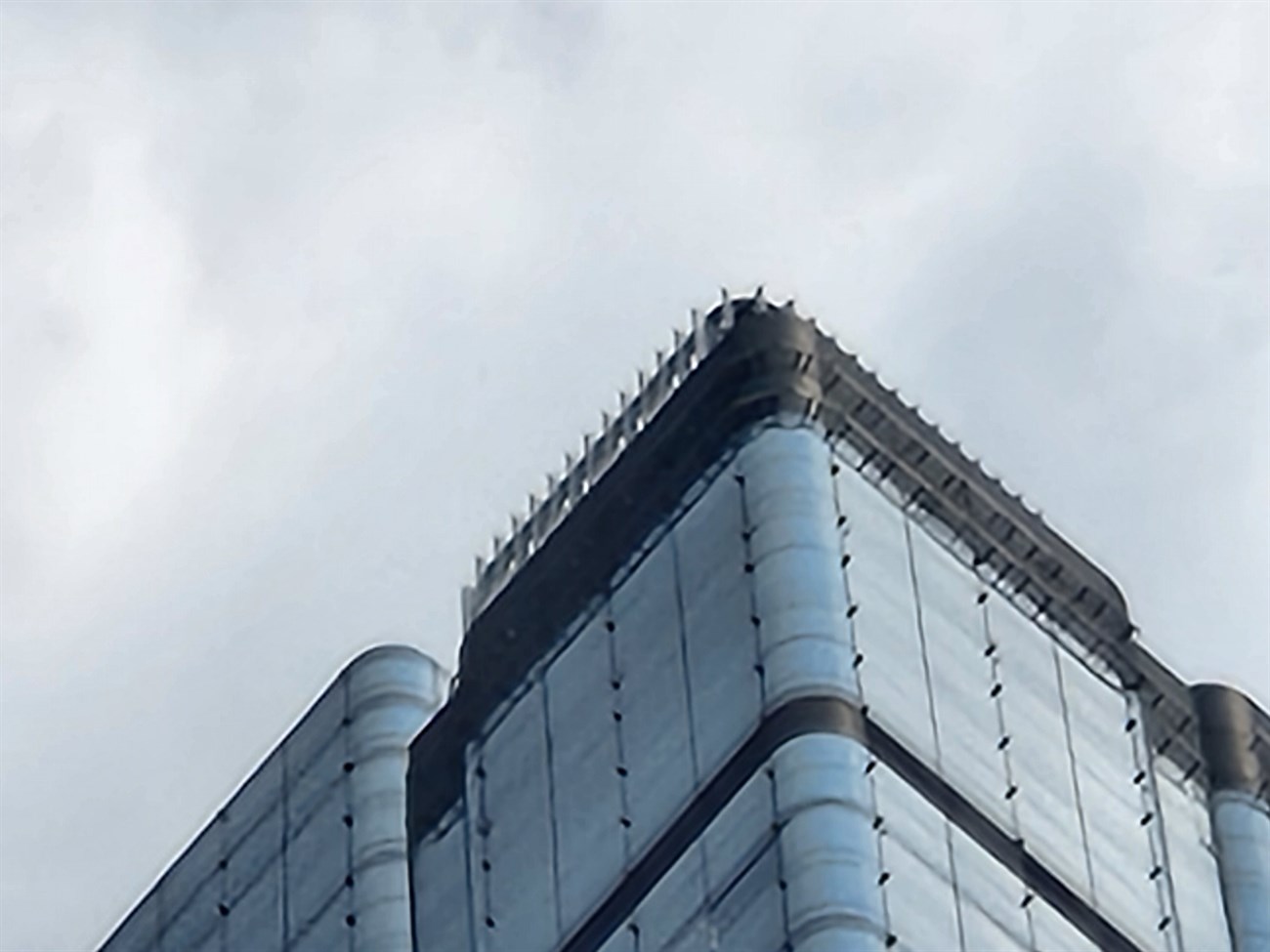 Ảnh chụp bằng chế độ tự động trong điều kiện đủ sáng trên Galaxy S22+