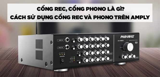 Cổng REC, cổng Phono là gì? Cách sử dụng cổng REC và cổng Phono trên amply