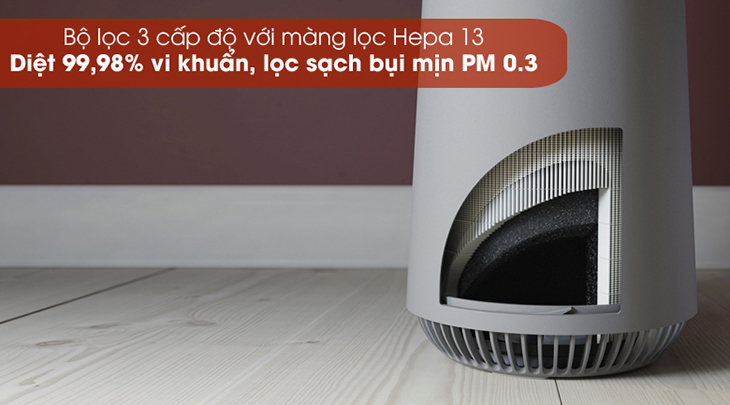 Máy lọc không khí Electrolux FA31-202GY