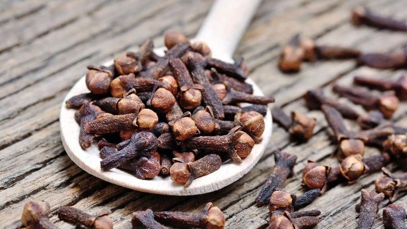 14 tác dụng của cây đinh hương đối với sức khỏe bạn nên biết