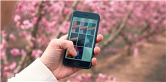 den iPhoneSE32022 NikiasMolina13