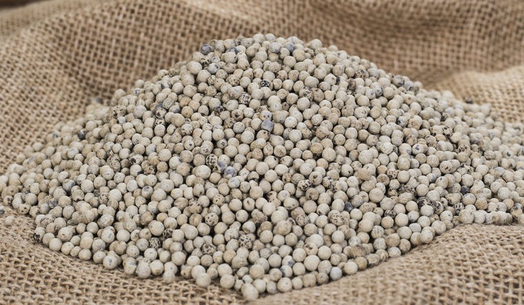 Giá tiêu hôm nay 9/3/2022: Tiếp tục chững giá, dao động 78.500 - 81.000 đồng/kg