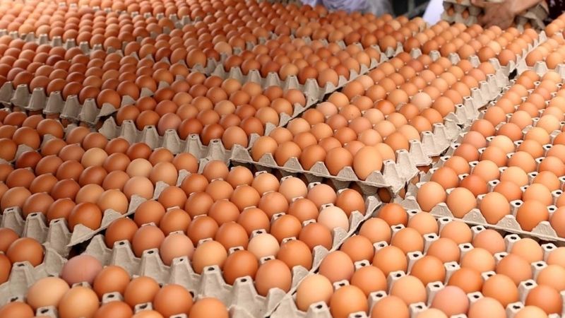 Bảng giá trứng gà hôm nay 10/03