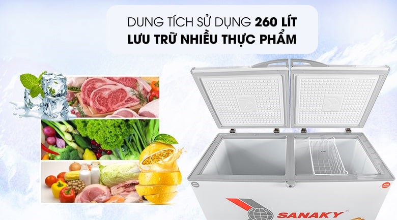 Tủ đông Sanaky 260 lít VH-3699W1