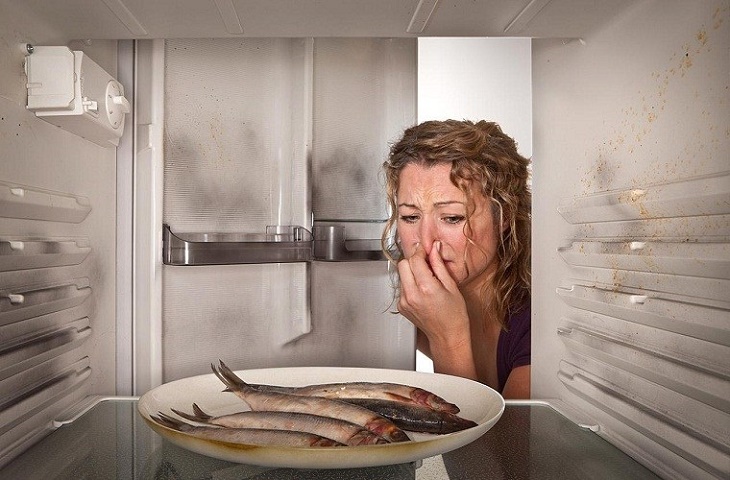 Expired or fermented food causes the refrigerator to have an unpleasant odor