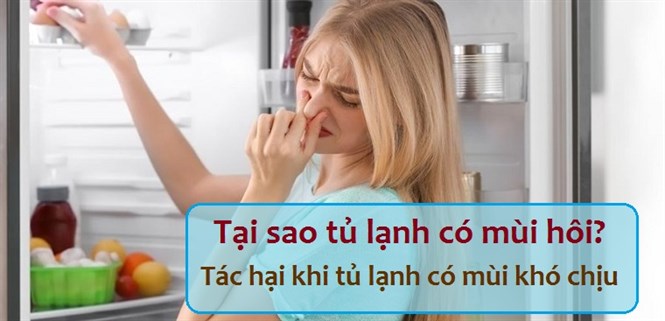 Tại sao tủ lạnh có mùi hôi? Tác hại khi tủ lạnh có mùi khó chịu