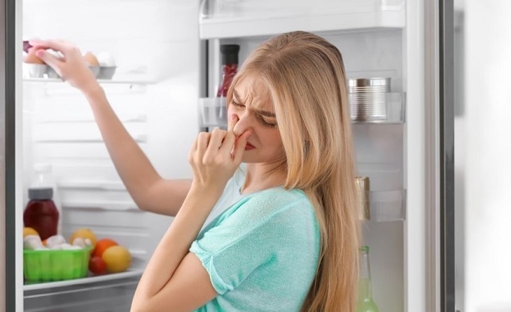 A refrigerator with an unpleasant odor causes discomfort when using