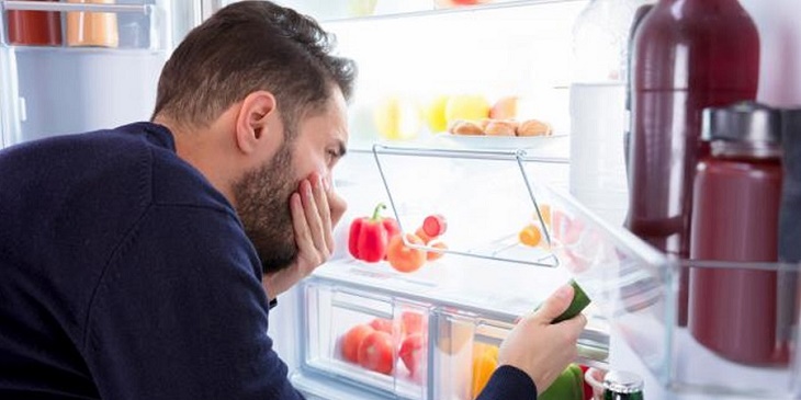 Nấm mốc phát triển trên tủ lạnh gây mùi hôi khó chịu
