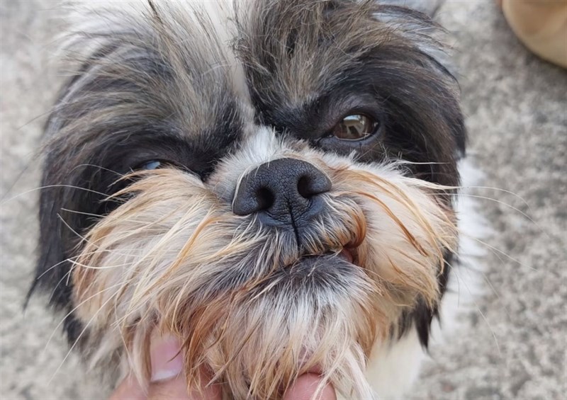 Ảnh chụp từ camera sau trên Galaxy F23 5G