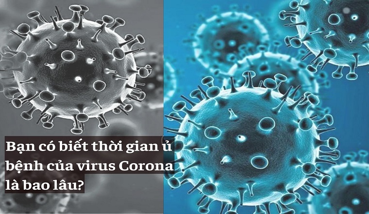 Thời gian ủ bệnh và lây lan của virus Corona là bao lâu?