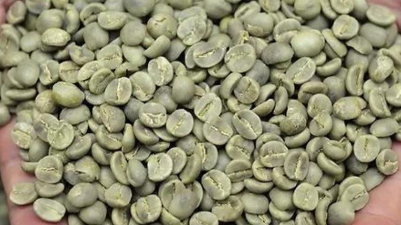 Giá cà phê trong nước hôm nay