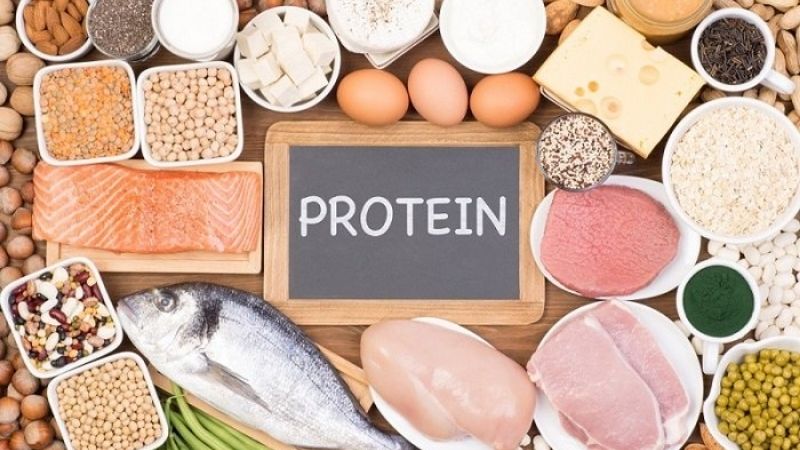 Ăn nhiều protein có thể làm tăng lượng calo đốt cháy của cơ thể 80 -100 calo mỗi ngày