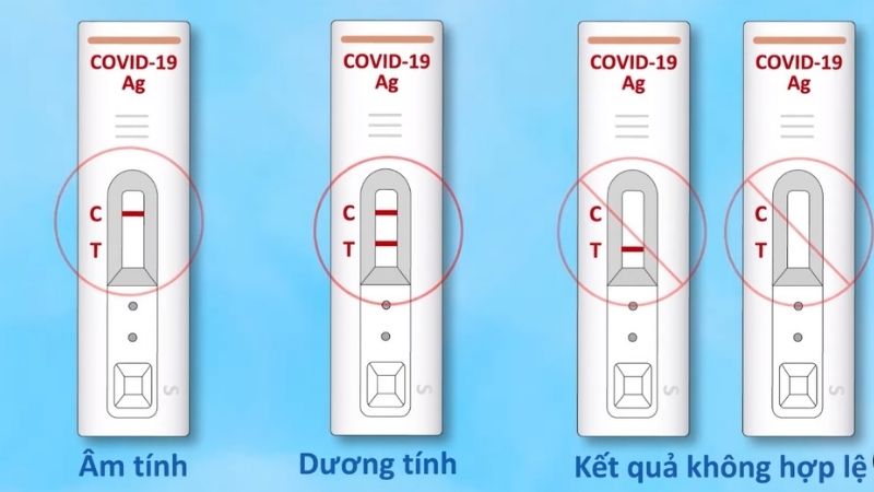 Xem kết quả