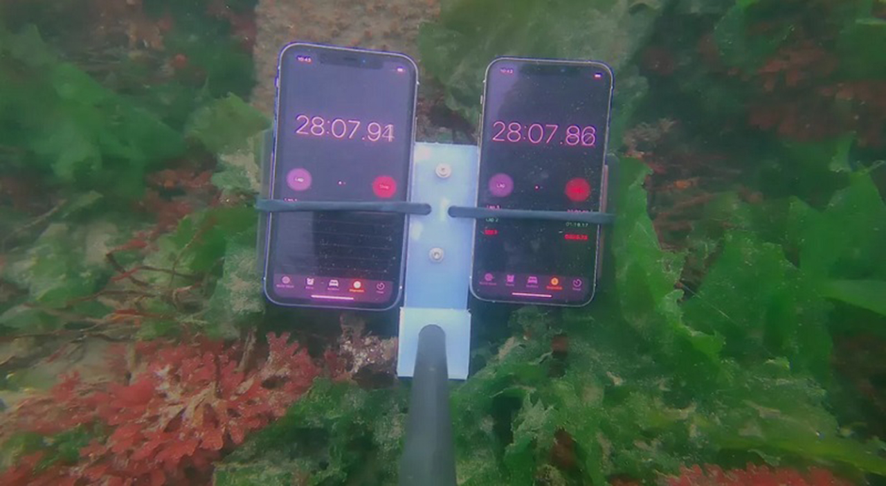 iPhone 11 có chống nước không