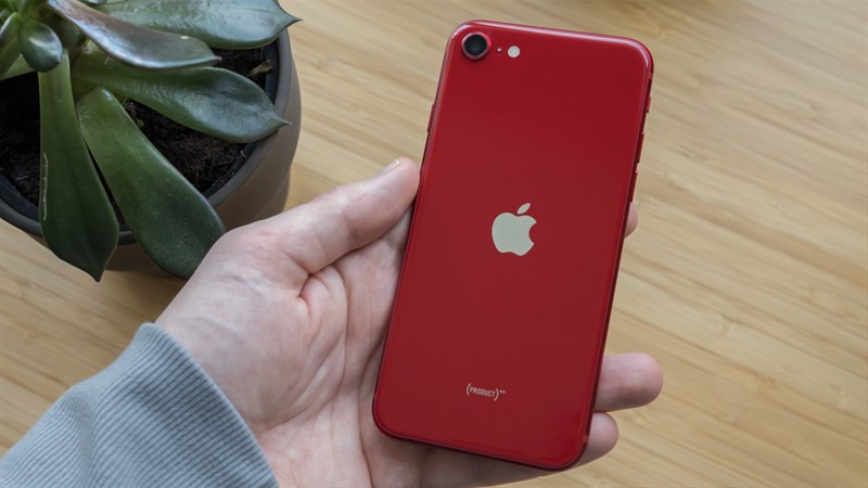 iPhone SE 3 sẽ có doanh số ấn tượng trong năm nay iPhone SE 3 sẽ có doanh số ấn tượng trong năm nay