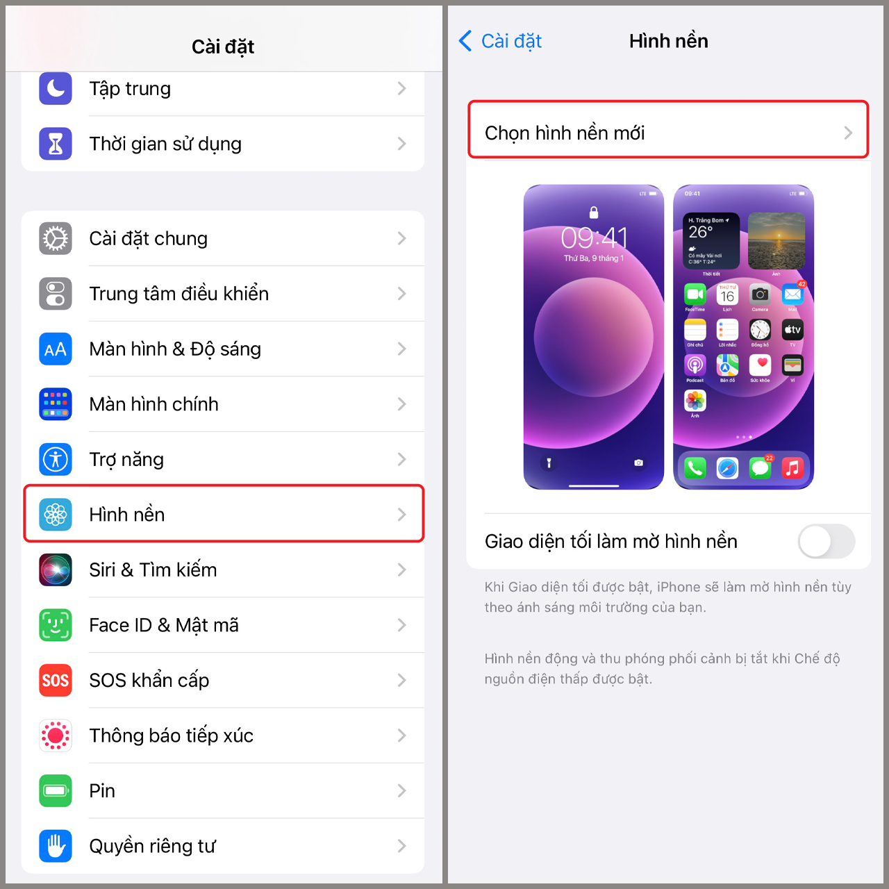 Hình Nền Ios 15 Căng Nét Siêu Đẹp, Hãy Xem Ngay Cách Cài Hình Nền Nhé!