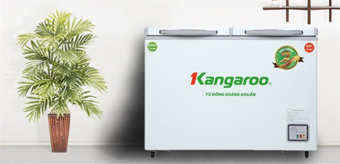 Có nên mua tủ đông cho gia đình? Tủ đông gia đình loại nào tốt?