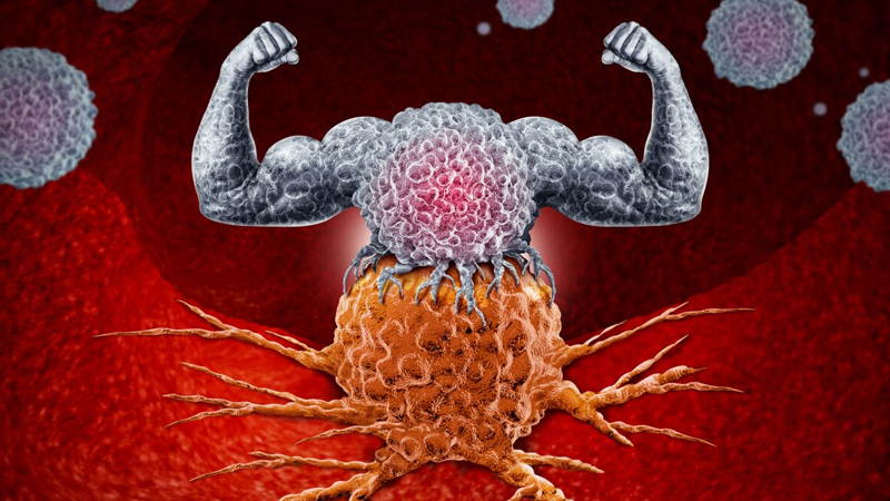 Chiết xuất của nhung hươu có thể làm hạn chế sự phát triển của các khối u và tế bào ung thư
