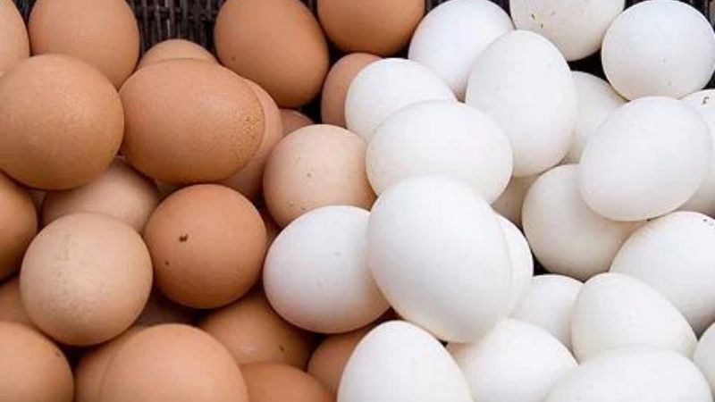 Giá trứng gà hôm nay 21/03