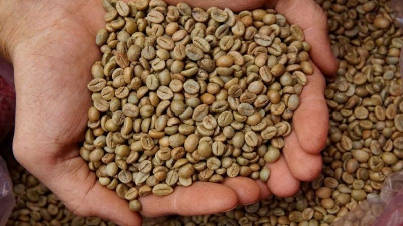 Giá cà phê trong nước hôm nay