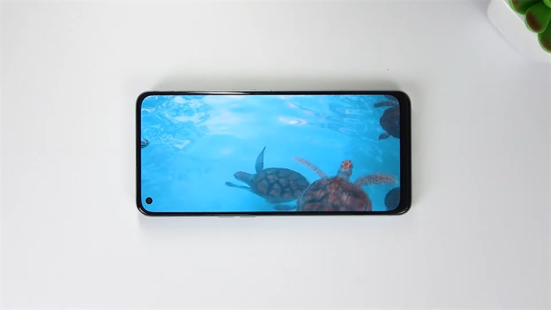 OPPO Reno8 Z có màn hình đẹp, sắc nét kết hợp với tần số quét 90 Hz mượt mà