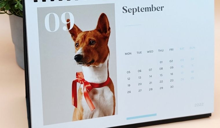 Tháng 9 có ngày lễ gì? Những ngày lễ, kỷ niệm trong tháng 9