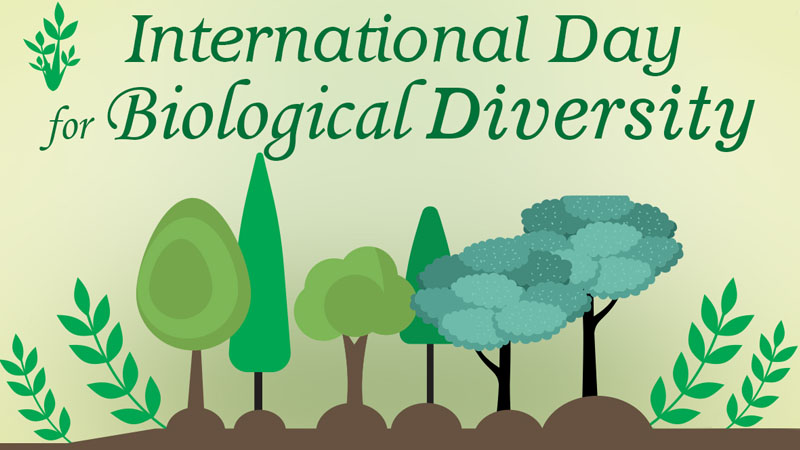 International Day for Biological Diversity