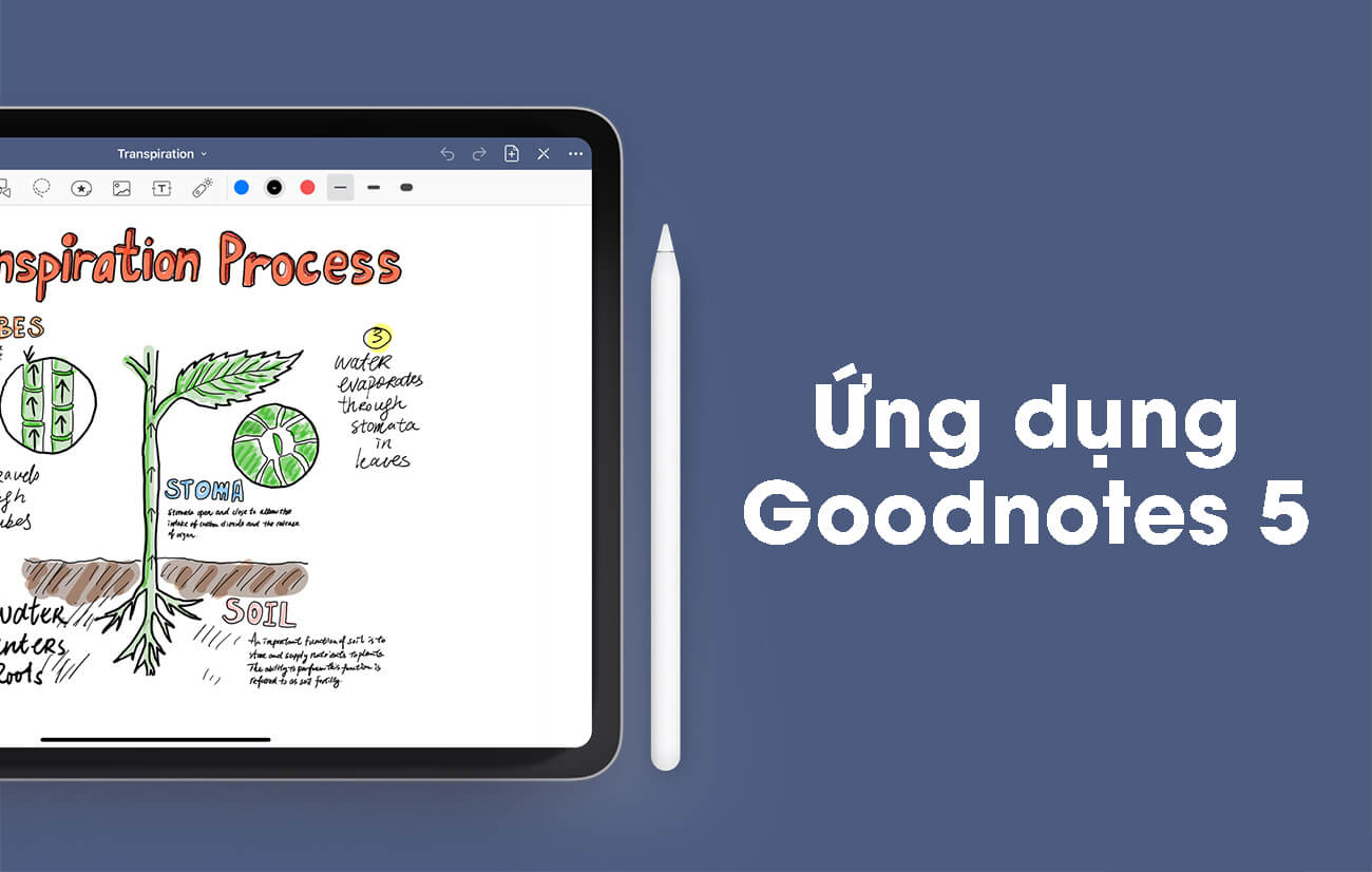 GoodNotes - Ứng dụng phổ biến để ghi chép như một cuốn sổ thực sự