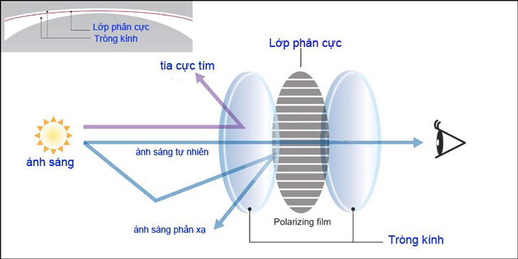 Nguyên lý hoạt động của tròng kính phân cực Polarized