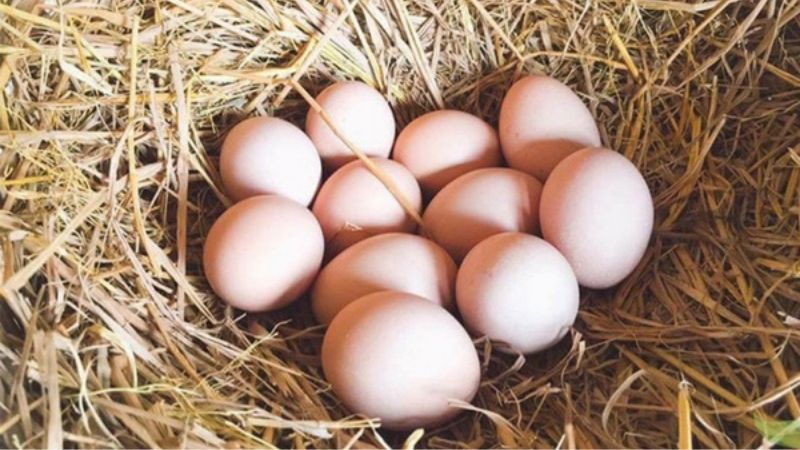 Giá trứng gà hôm nay 24/03