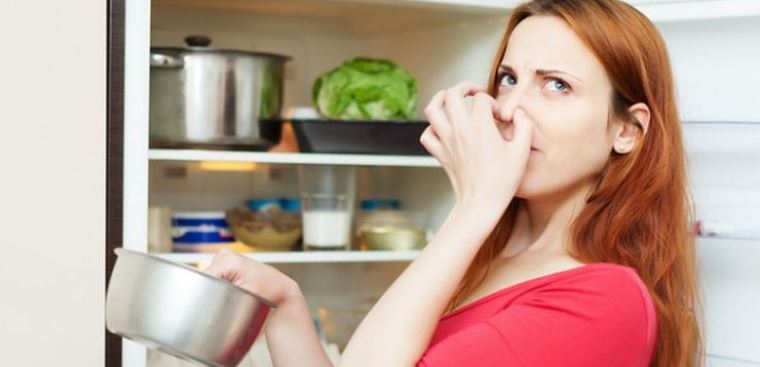 Dangers of a smelly refrigerator