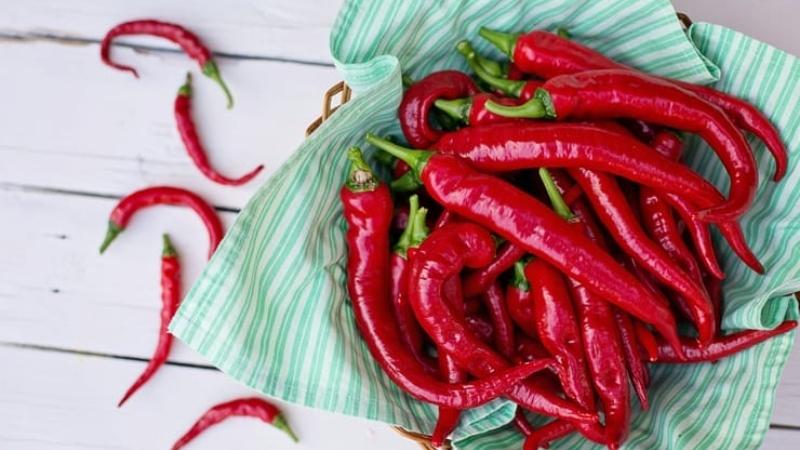 Giá ớt chênh lệch tùy vào nhiều yếu tố