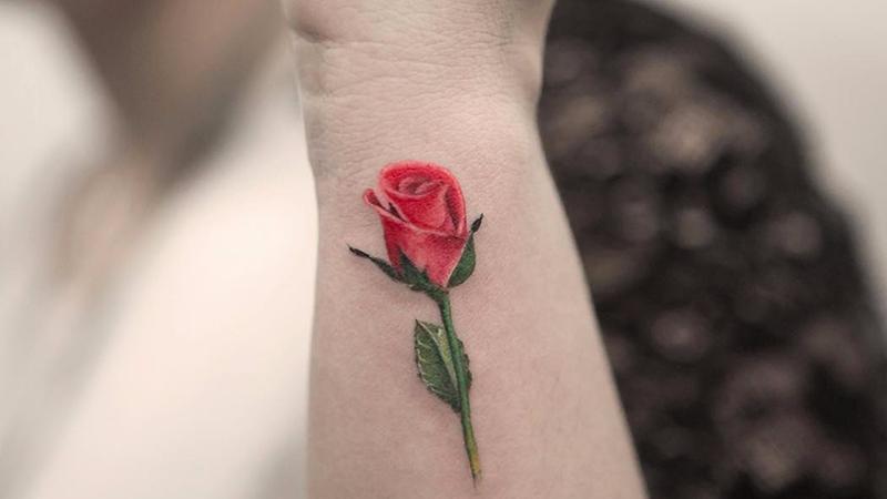 Xǎm hὶnh hoa hồng đỏ luȏn là sự lựa chọn của nhiều người
