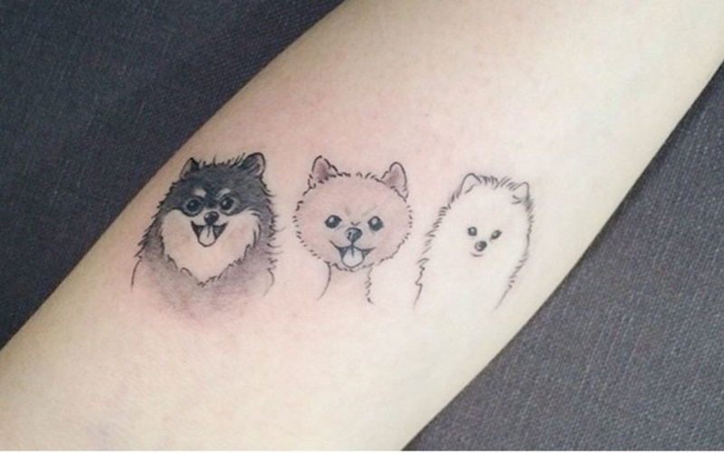 hình xăm dán chó sói mini JULLY Tattoo chất (kích thước 10,5x6cm) hình xăm  chống nước xăm tạm thời an toàn bền đẹp | Lazada.vn