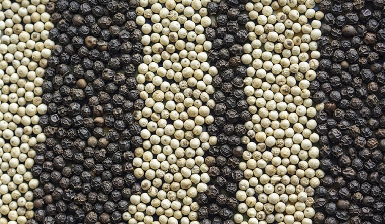 Giá tiêu hôm nay 27/3/2022: Đi ngang ngày 3, dao động 77.500 - 80.000 đồng/kg