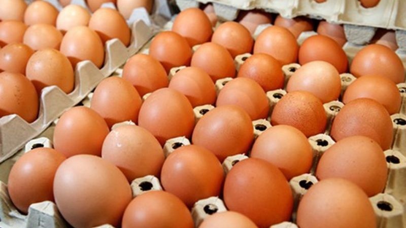 Giá trứng gà hôm nay 28/03/2022