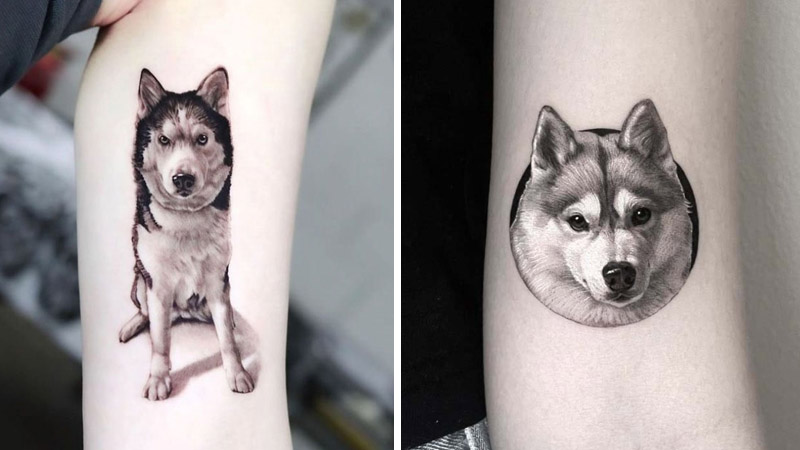 Hình xăm con chó Husky